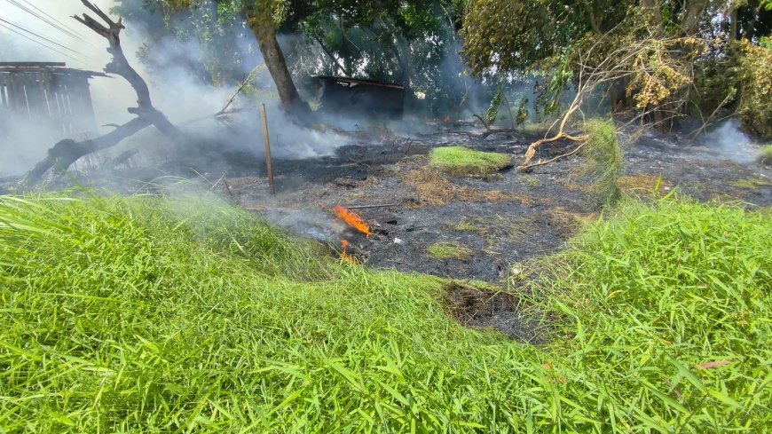 Grasbrand zorgt voor zware rookontwikkeling aan Gieselaan