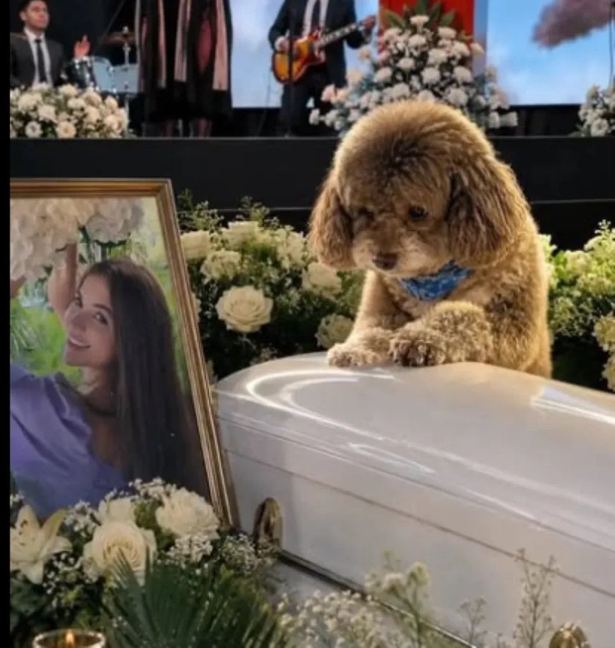 Opmerkelijk – Vrouw sterft terwijl ze blinde hond beschermt tijdens aardbeving in Colombia
