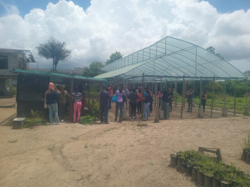 FAO en ministerie van LVV stimuleren duurzame kassenteelt in Suriname