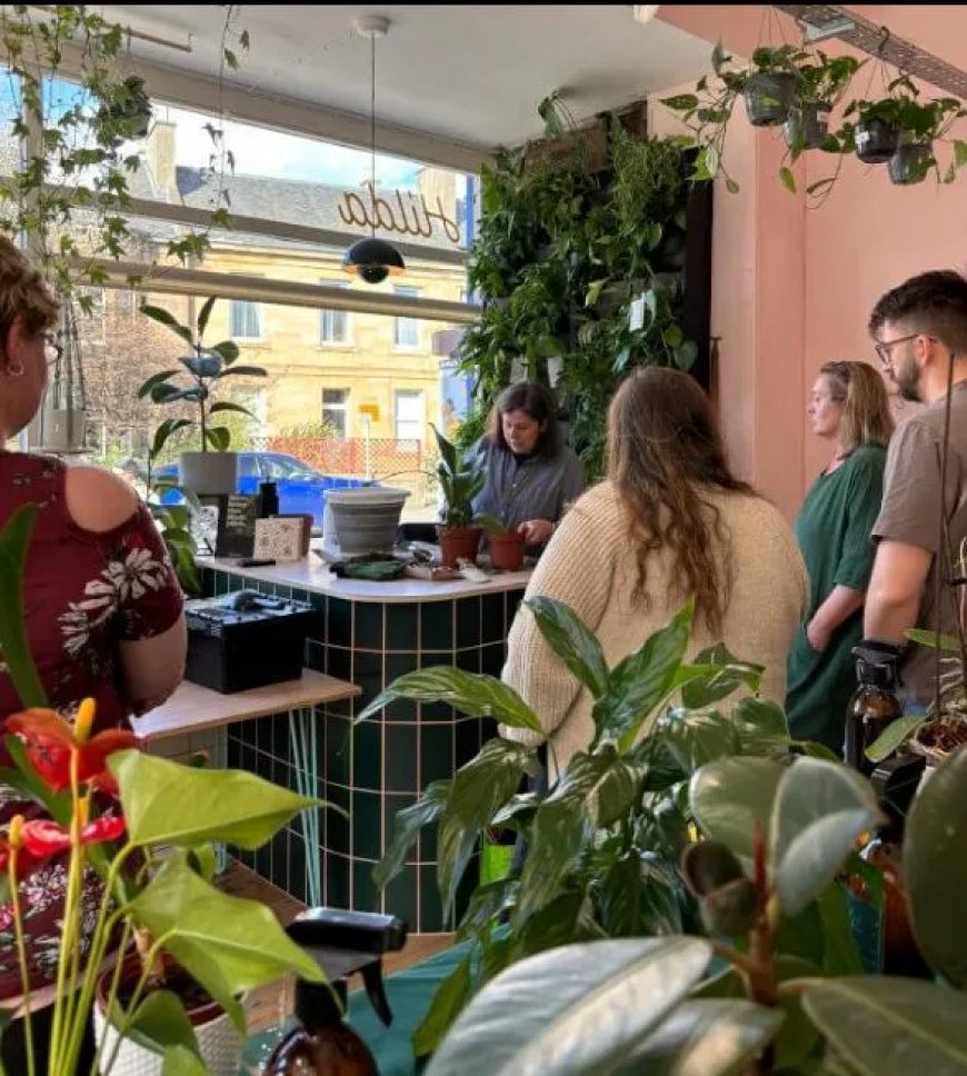 Plantenziekenhuis zet kamerplanten aan het ‘infuus’