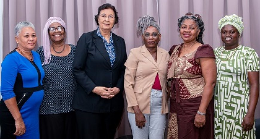 Bundeling van 22 Afro-Surinaamse organisaties informeert president over plannen