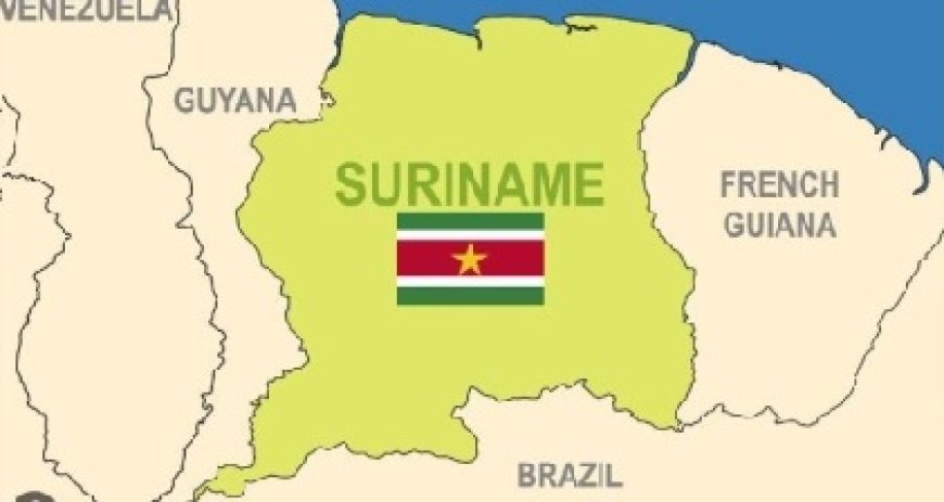 Grootschalige houtkap vanuit Guyana in Tigri-gebied baart regering zorgen