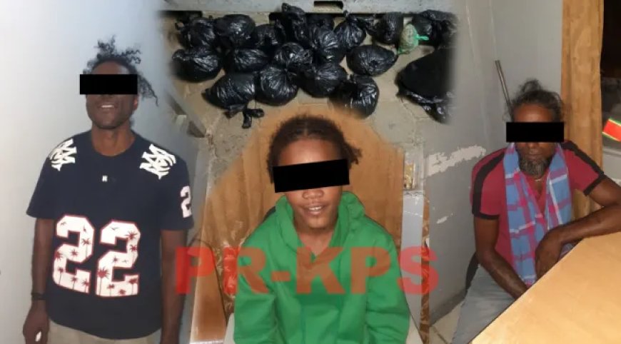Drie verdachten te Burnside aangehouden met vermoedelijk marihuana in auto