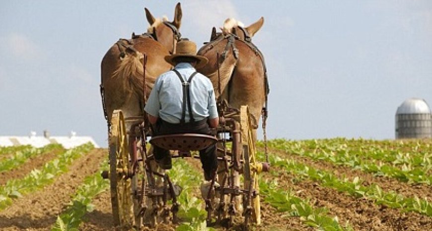 “Braganza volgde juiste procedures voor Mennonieten in Suriname”