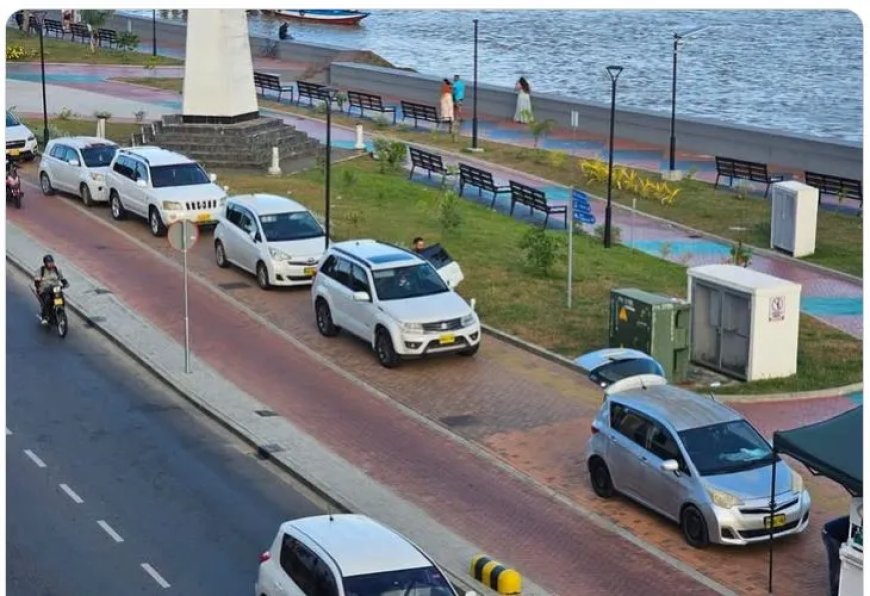 Fout parkeren aan de Waterkant