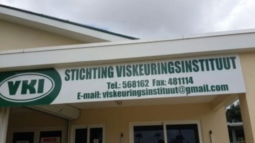 Financieel onderzoek legt ernstige tekortkomingen bij VKI bloot