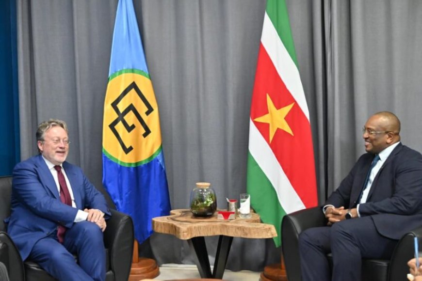 Suriname en DNB bespreken versterking financiële sector
