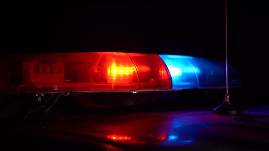 Jager opgepakt na meldingen van schoten aan Henarweg