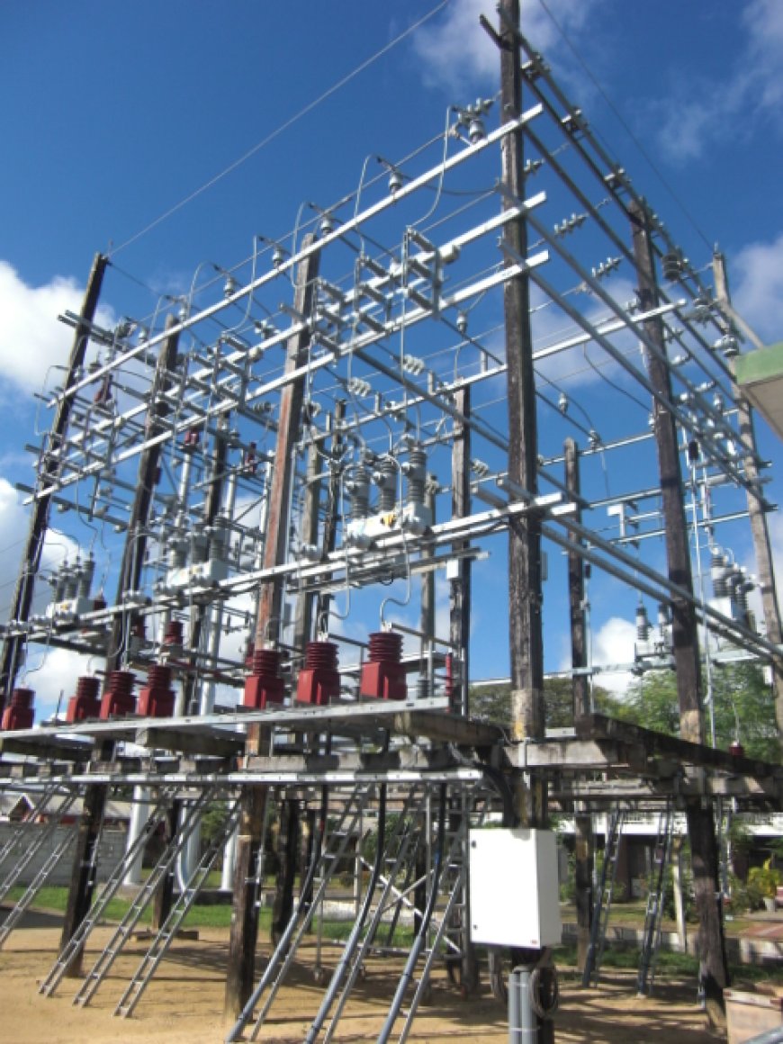 EAS: lager stroomverbruik burgers geen structurele oplossing voor energiecrisis