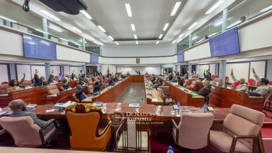 Parlement eist duidelijkheid over stroomtekorten en loadshedding
