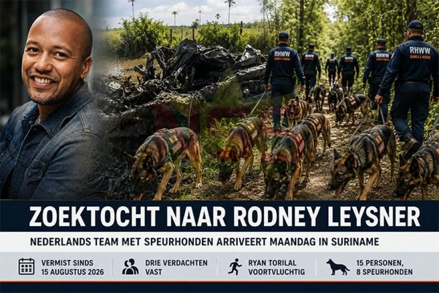 Zoektocht naar Leysner gaat nieuwe fase in met komst Nederlands speurhondenteam