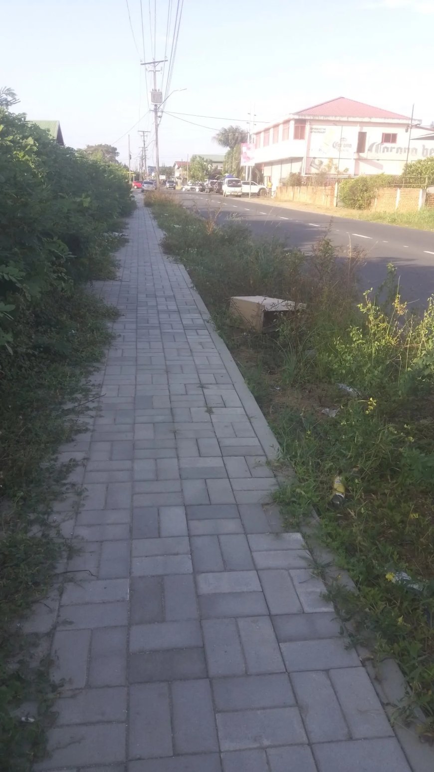 Pas betegeld looppad aan Leysweg vraagt weer om aandacht