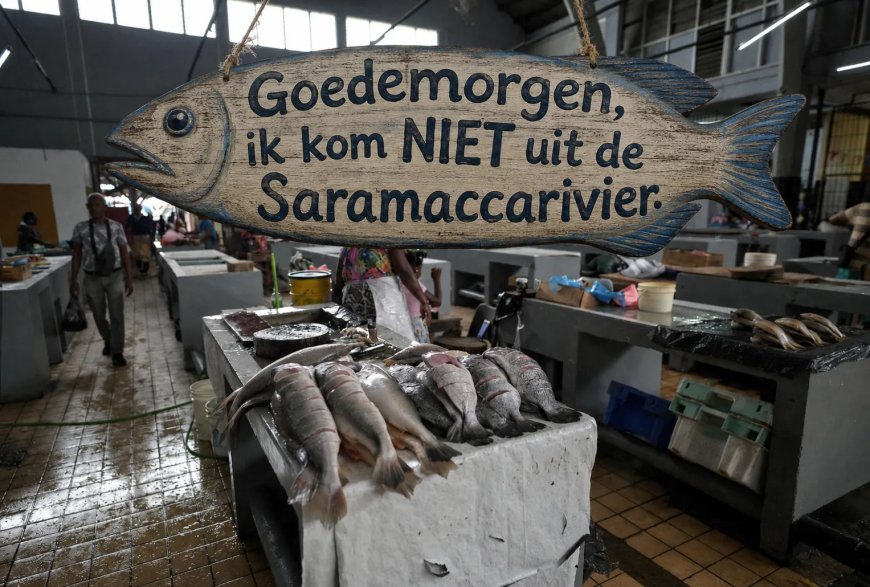 Op de vis staat geen adres