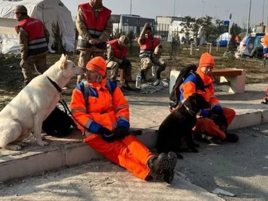 Nederlandse speurhonden ingezet bij zoektocht naar Rodney Leysner
