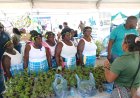 LVV stimuleert duurzame landbouw in Boven Suriname