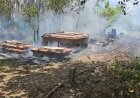 Felle brand bij Oranjetuin na bestrijding Braziliaanse bijen
