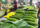Groenteboeren voelen zich vergeten door landbouwbeleid