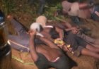 Snelle aanhouding na beroving bij Villa Brazil