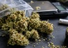 Narcoticabrigade pakt drugsverkoper met hasj, cocaïne en marihuana