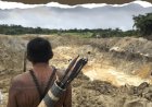 Goudwinning breidt zich het snelst uit op inheemse gronden in Braziliaanse Amazonegebied