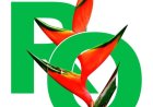 RO organiseert activiteten in aanloop naar Dag der Marrons