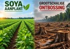 Bedrijfsplan Braganza erkent milieuschade grootschalige sojateelt