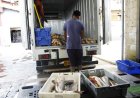SAIL richt zich op groei en eigen export