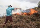 Bosbrand bedreigt toeristisch stadje in Colombiaanse Andes