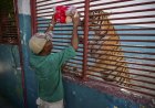 Cubaanse dierentuin en haar dieren verwikkeld in strijd om te overleven