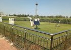 Chinese landbouwtechnologie voor verzilte grond biedt kansen voor Suriname