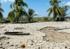 Rijstboeren pleiten voor aanpak waterbeheer en uitvoering Waterschapswet