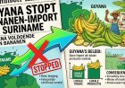 Guyana stopt import bananen uit Suriname