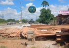 Houtmarkt in Wanica gesloten