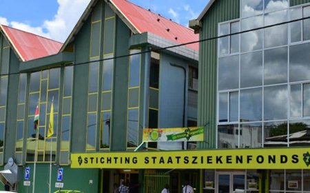 Zware technische storing legt SZF systemen plat