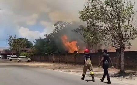 Brand op historische begraafplaats Nieuwe Oranjetuin