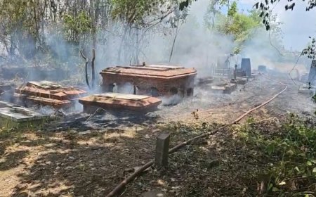 Felle brand bij Oranjetuin na bestrijding Braziliaanse bijen