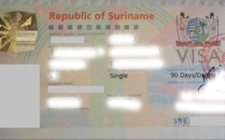 Visum voor Fransen uit Frans-Guyana blijft 25 euro
