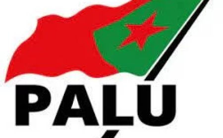 PALU: Vissterfte Saramaccarivier geen incident, maar nationale ramp
