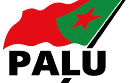 Palu: Vissterfte Saramaccarivier nationale ramp