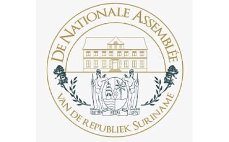 DNA verdaagt behandeling wetsvoorstel Surinamerschap naar maandag