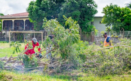 SOSIS krijgt grondige opknapbeurt, politiepost moet terrein veiliger maken