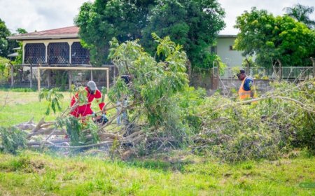 Grote schoonmaak verwaarloosd ‘Sosis’
