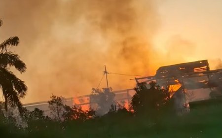 Opnieuw grote brand bij houtzagerij Nooitgedacht aan Duisburglaan