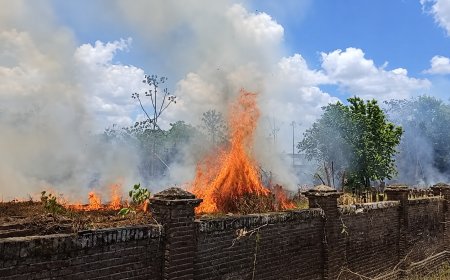 Fokké: brand veroorzaakt onherstelbare schade aan grafmonumenten Oranjetuin