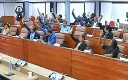 DNA unaniem achter Surinamerschap voor diasporasporters