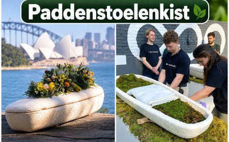 Australische vrouw begraven in kist van paddenstoelen