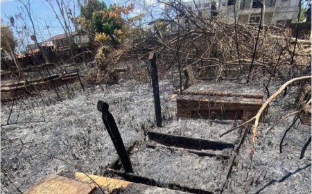 Historische grafmonumenten verloren gegaan bij brand in Oranjetuin