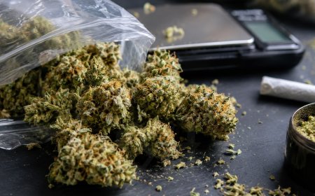 Narcoticabrigade pakt drugsverkoper met hasj, cocaïne en marihuana