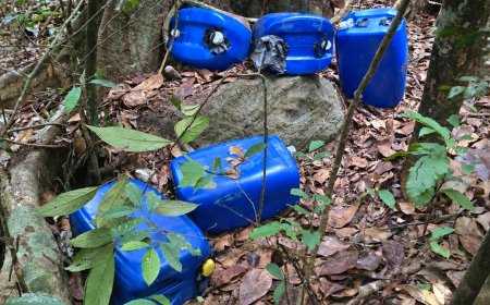 Politie vindt jerrycans met vermoedelijk vliegtuigbenzine in Para