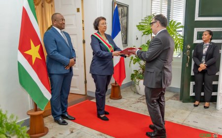 Franse ambassadeur overhandigt geloofsbrieven aan president Simons